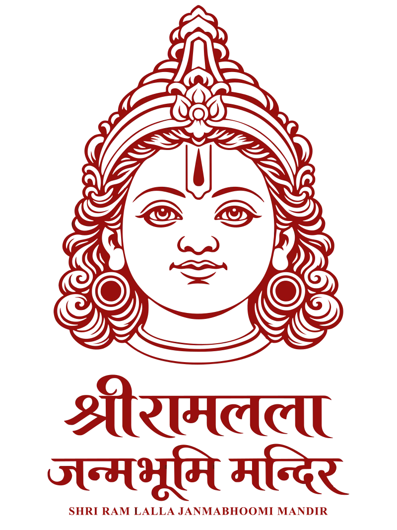 किट C · Plain · सपाट रेखाएँ